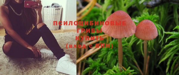 твердый Алексеевка