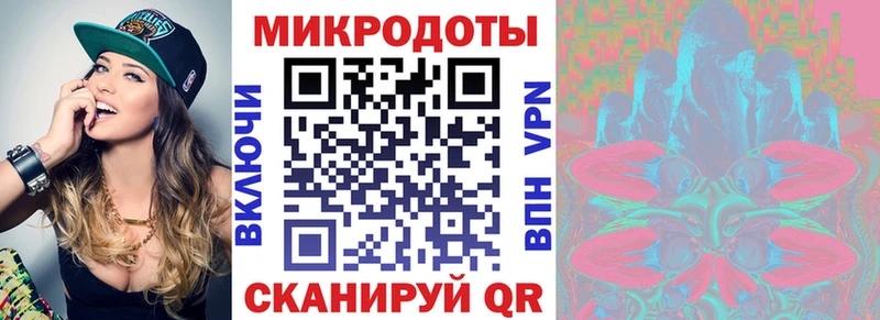 Псилоцибиновые грибы Psilocybine cubensis  где найти   Белгород 